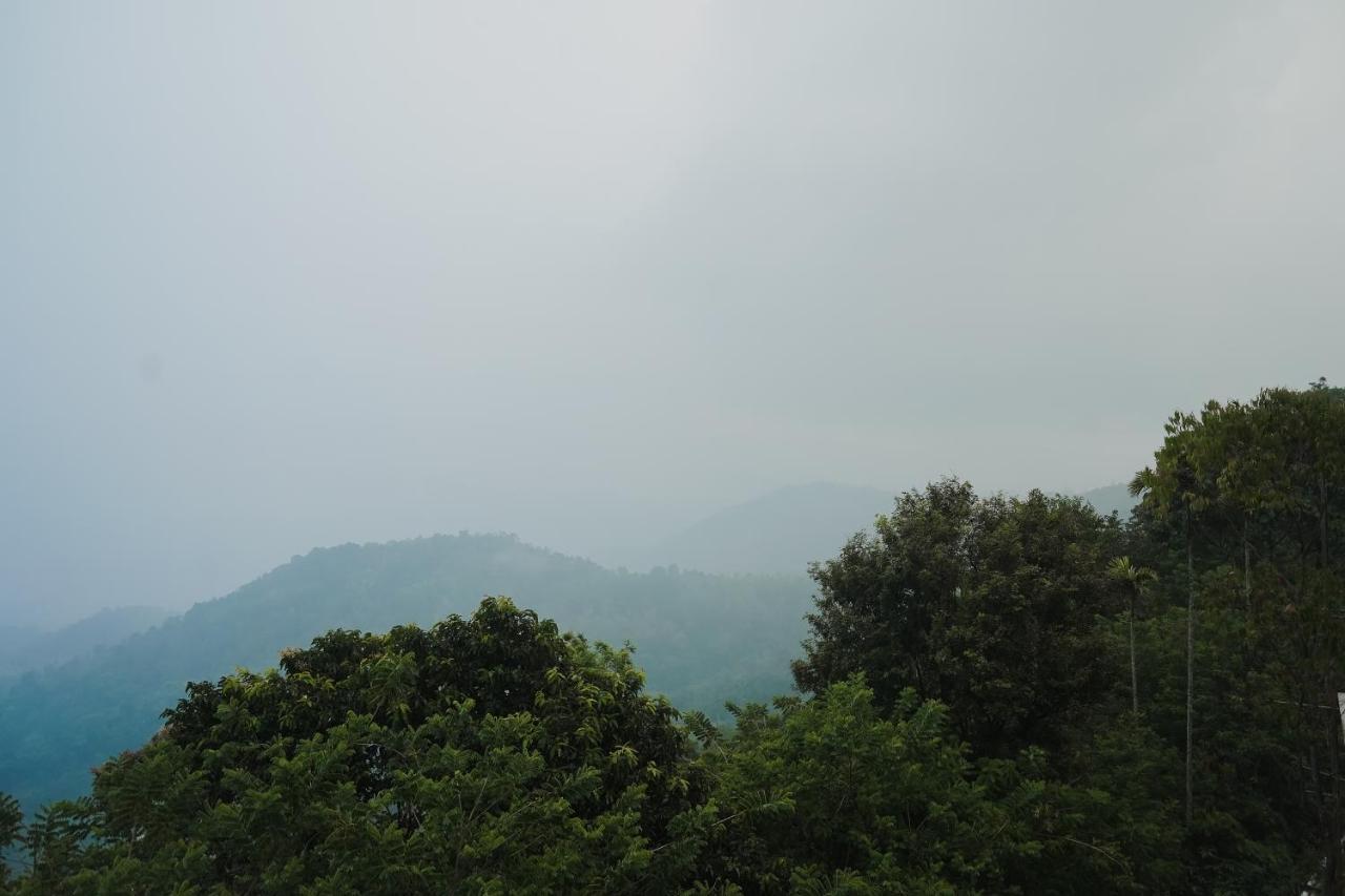 Sprise Munnar Resort And Spa Extérieur photo